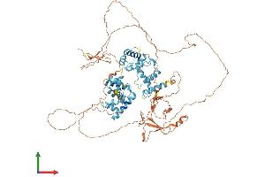 AlphaFold protein structure predicition of Mouse Recombinant Dmtf1 Protein, UniprotID Q8CE22