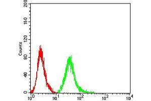 Flow cytometric analysis of MCF-7 cells using ROP1 mouse mAb (green) and negative control (red). (ROP1 (AA 42-183) 抗体)