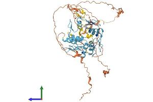 Protein Structure (PS) image for Zinc Finger Protein 513 (ZNF513) (AA 1-541) protein (His tag) (ABIN7545810)