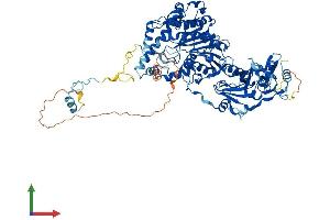Protein Structure (PS) image for Cap Methyltransferase 1 (CMTR1) (AA 1-837) protein (His tag) (ABIN7565005)