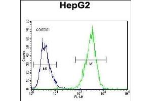 ARD Antibody (C-term) (ABIN655880 and ABIN2845281) flow cytometric analysis of HepG2 cells (right histogram) compared to a negative control cell (left histogram). (PPARD 抗体  (C-Term))
