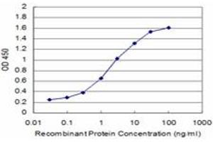 Detection limit for recombinant GST tagged MAGEA9 is approximately 0. (MAGEA9 抗体  (AA 1-315))