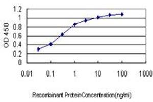 Detection limit for recombinant GST tagged TSSK2 is approximately 0. (TSSK2 抗体  (AA 265-358))