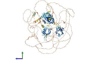 AlphaFold protein structure predicition of Mouse Recombinant Pard3b Protein, UniprotID Q9CSB4
