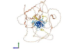 AlphaFold protein structure predicition of Human Recombinant BAHD1 Protein, UniprotID Q8TBE0