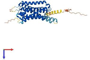 Protein Structure (PS) image for Histamine Receptor H2 (HRH2) (AA 1-359) protein (His tag) (ABIN7548406)