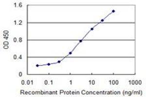 Detection limit for recombinant GST tagged DDX54 is 0. (DDX54 抗体  (AA 778-881))