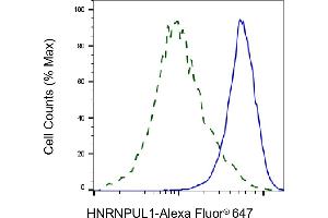 Flow cytometric analysis of HNRNPUL1 expression in HAP-1 cells using HNRNPUL1 antibody (ABIN7798903), 1:2,000).