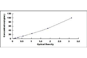 Typical standard curve (ICAM1 ELISA 试剂盒)