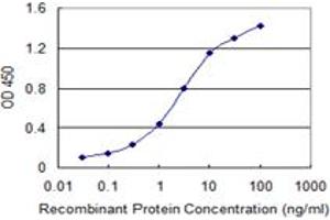 Detection limit for recombinant GST tagged BCAS1 is 0. (BCAS1 抗体  (AA 1-80))