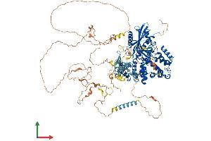 Protein Structure (PS) image for StAR-Related Lipid Transfer (START) Domain Containing 13 (STARD13) (AA 1-1113) protein (His tag) (ABIN7564857)