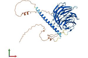 Protein Structure (PS) image for WD Repeat Domain 37 (WDR37) (AA 1-494) protein (His tag) (ABIN7545164)