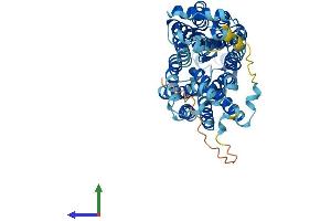 Protein Structure (PS) image for Solute Carrier Family 22 Member 4 (SLC22A4) (AA 1-553) protein (His tag) (ABIN7556454)