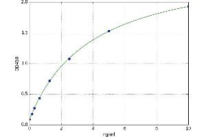 A typical standard curve