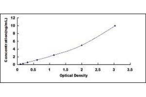 Typical standard curve (PMFBP1 ELISA 试剂盒)
