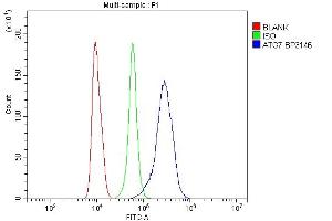 Flow Cytometry analysis of RAW264. (ATG7 抗体  (N-Term))