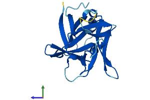 AlphaFold protein structure predicition of Mouse Recombinant Il1f10 Protein, UniprotID Q8R459