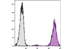 DBA/2 mouse mastocytoma cell line P815 and mB7. (CD86 抗体  (SPRD))