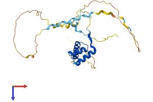 HOXB4 Protein (AA 1-250) (His tag)
