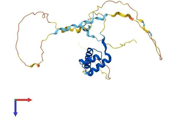 HOXB4 Protein (AA 1-250) (His tag)