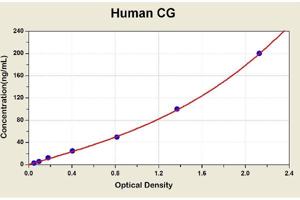hCG ELISA 试剂盒