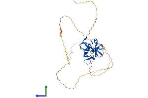 Protein Structure (PS) image for Ring Finger Protein 146 (RNF146) (AA 1-359) protein (His tag) (ABIN7555255)