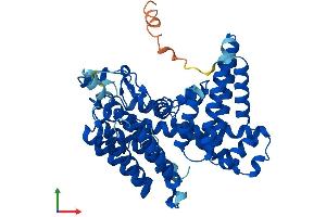 Protein Structure (PS) image for Membrane Bound O-Acyltransferase Domain Containing 7 (MBOAT7) (AA 1-473) protein (His tag) (ABIN7559337)