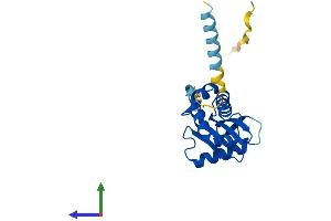 Protein Structure (PS) image for Coatomer Protein Complex, Subunit zeta 2 (COPZ2) (AA 1-205) protein (His tag) (ABIN7561503)