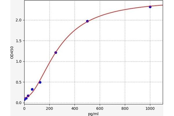 Hepcidin 25 ELISA 试剂盒