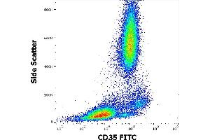 Flow cytometry surface staining pattern of human peripheral whole blood stained using anti-human CD35 (E11) FITC antibody (4 μL reagent / 100 μL of peripheral whole blood). (CD35 抗体  (FITC))