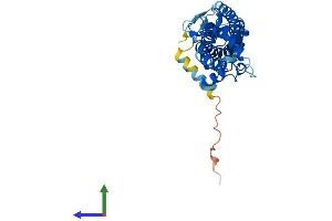 Protein Structure (PS) image for Peripherin 2 (Retinal Degeneration, Slow) (PRPH2) (AA 1-346) protein (His tag) (ABIN7562890)