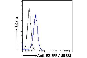 ABIN184893 Flow cytometric analysis of paraformaldehyde fixed HeLa cells (blue line), permeabilized with 0. (UBE2S 抗体  (N-Term))