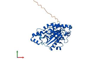 Protein Structure (PS) image for Phosphatidylinositol-Specific phospholipase C, X Domain Containing 1 (PLCXD1) (AA 1-323) protein (His tag) (ABIN7550804)