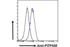 ABIN185208 Flow cytometric analysis of paraformaldehyde fixed A549 cells (blue line), permeabilized with 0. (PITPNM1 抗体  (C-Term))