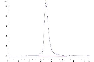 Size-exclusion chromatography-High Pressure Liquid Chromatography (SEC-HPLC) image for Leukocyte Immunoglobulin-Like Receptor, Subfamily A (With TM Domain), Member 1 (LILRA1) (AA 17-461) protein (His-Avi Tag,Biotin) (ABIN7275174)