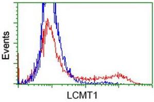 HEK293T cells transfected with either RC200018 overexpress plasmid (Red) or empty vector control plasmid (Blue) were immunostained by anti-LCMT1 antibody (ABIN2454710), and then analyzed by flow cytometry. (LCMT1 抗体)