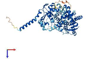 TBXAS1 Protein (AA 1-533) (His tag)