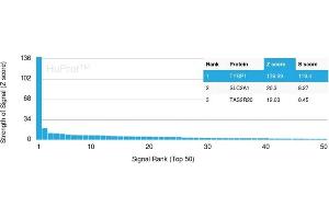 Analysis of Protein Array containing more than 19,000 full-length human proteins using TYRP1-Monospecific Mouse Monoclonal Antibody (TYRP1/3283) Z- and S- Score: The Z-score represents the strength of a signal that a monoclonal antibody (Monoclonal Antibody) (in combination with a fluorescently-tagged anti-IgG secondary antibody) produces when binding to a particular protein on the HuProtTM array. (Tyrosinase-Related Protein 1 抗体  (AA 257-377))