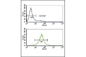 IL10 Antibody (Center) (ABIN653057 and ABIN2842660) flow cytometry analysis of Jurkat cells (bottom histogram) compared to a negative control (top histogram). (IL-10 抗体  (AA 27-53))