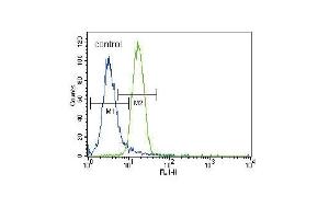 Parkin Antibody (C-term) (ABIN390366 and ABIN2840772) flow cytometric analysis of NCI- cells (right histogram) compared to a negative control cell (left histogram). (Parkin 抗体  (C-Term))