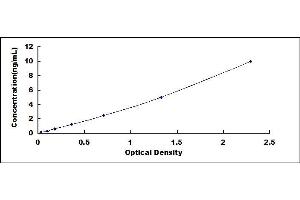 Typical standard curve (SCD ELISA 试剂盒)