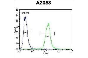 Flow Cytometry (FACS) image for anti-DDB1 and CUL4 Associated Factor 4-Like 2 (DCAF4L2) antibody (ABIN2995734) (DCAF4L2 抗体)