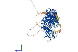 Protein Structure (PS) image for Serine/threonine-Protein Phosphatase 4 Regulatory Subunit 3A (SMEK1) (AA 1-820) protein (His tag) (ABIN7564082)
