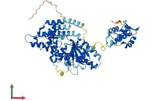 AlphaFold protein structure predicition of Mouse Recombinant Ehd4 Protein, UniprotID Q9EQP2 (EHD4 Protein (AA 1-541) (His tag))