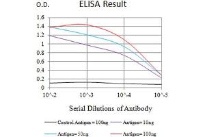 Black line: Control Antigen (100 ng),Purple line: Antigen (10 ng), Blue line: Antigen (50 ng), Red line:Antigen (100 ng) (Ancient Ubiquitous Protein 1 抗体  (AA 229-410))