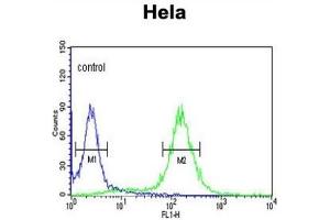 Flow Cytometry (FACS) image for anti-Mercaptopyruvate Sulfurtransferase (MPST) antibody (ABIN3003390) (MPST 抗体)