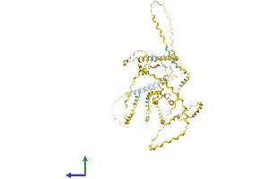 Protein Structure (PS) image for Collagen, Type XXV, alpha 1 (COL25A1) (AA 1-654) protein (His tag) (ABIN7553550)