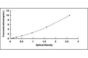 Typical standard curve (MCL-1 ELISA 试剂盒)