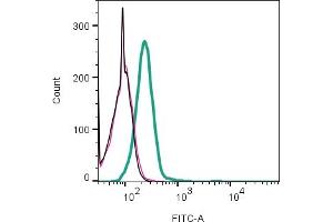 anti-Hydrogen Voltage-Gated Channel 1 (HVCN1) (AA 32-44), (Intracellular) antibody
