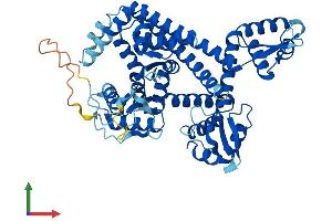 Protein Structure (PS) image for Polymerase (RNA) III (DNA Directed) Polypeptide C (62kD) (POLR3C) (AA 1-534) protein (His tag) (ABIN7555276)
